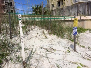 nest-barrier-NSB-2013-2